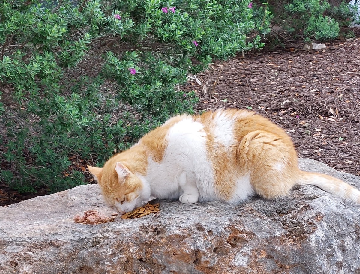 Harry, April 9, 2023