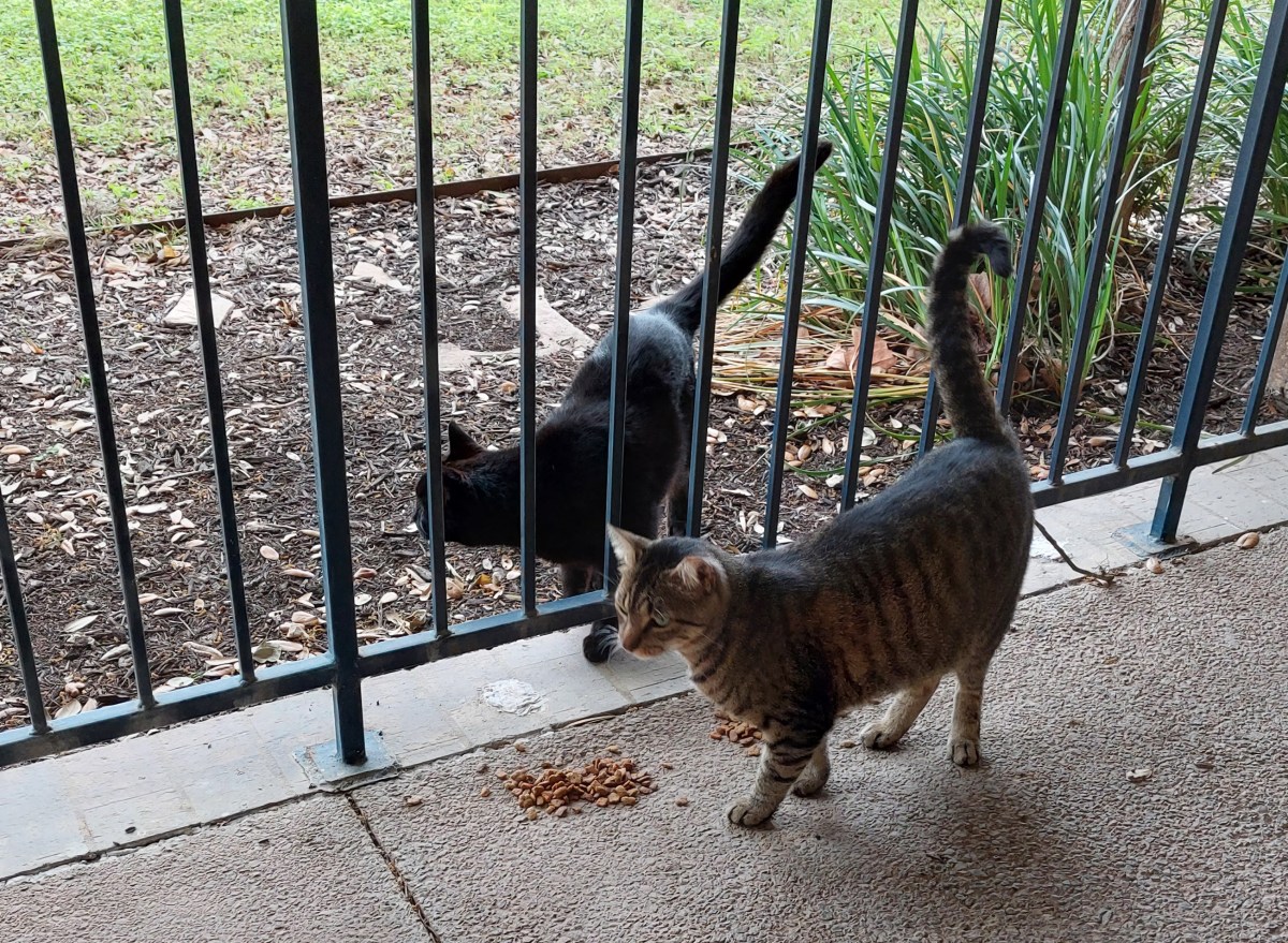 Lucifer & Troy, April 9, 2023