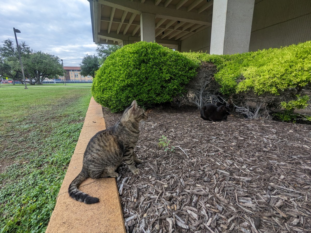 Lucifer & Troy, April 9, 2023