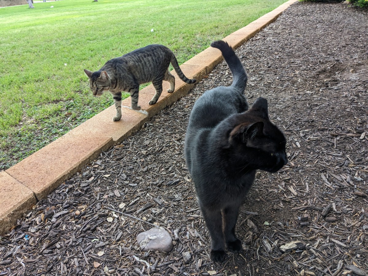 Lucifer & Troy, April 9, 2023