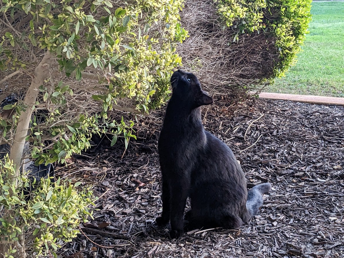 Lucifer, April 2, 2023