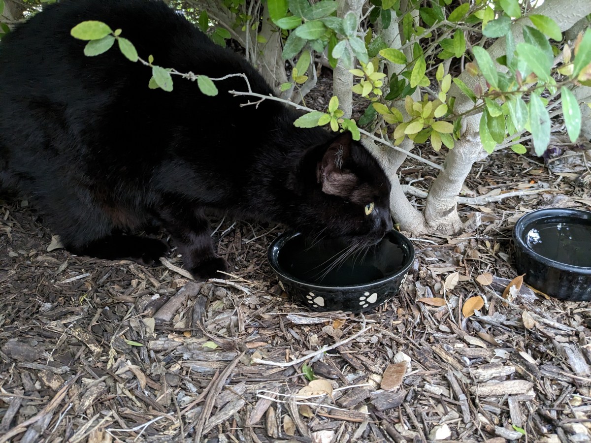 Lucifer, April 9, 2023