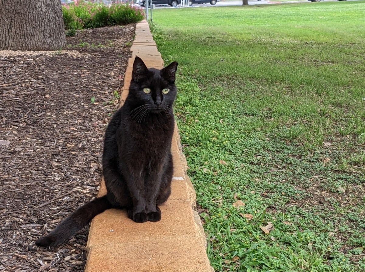 Lucifer, April 9, 2023