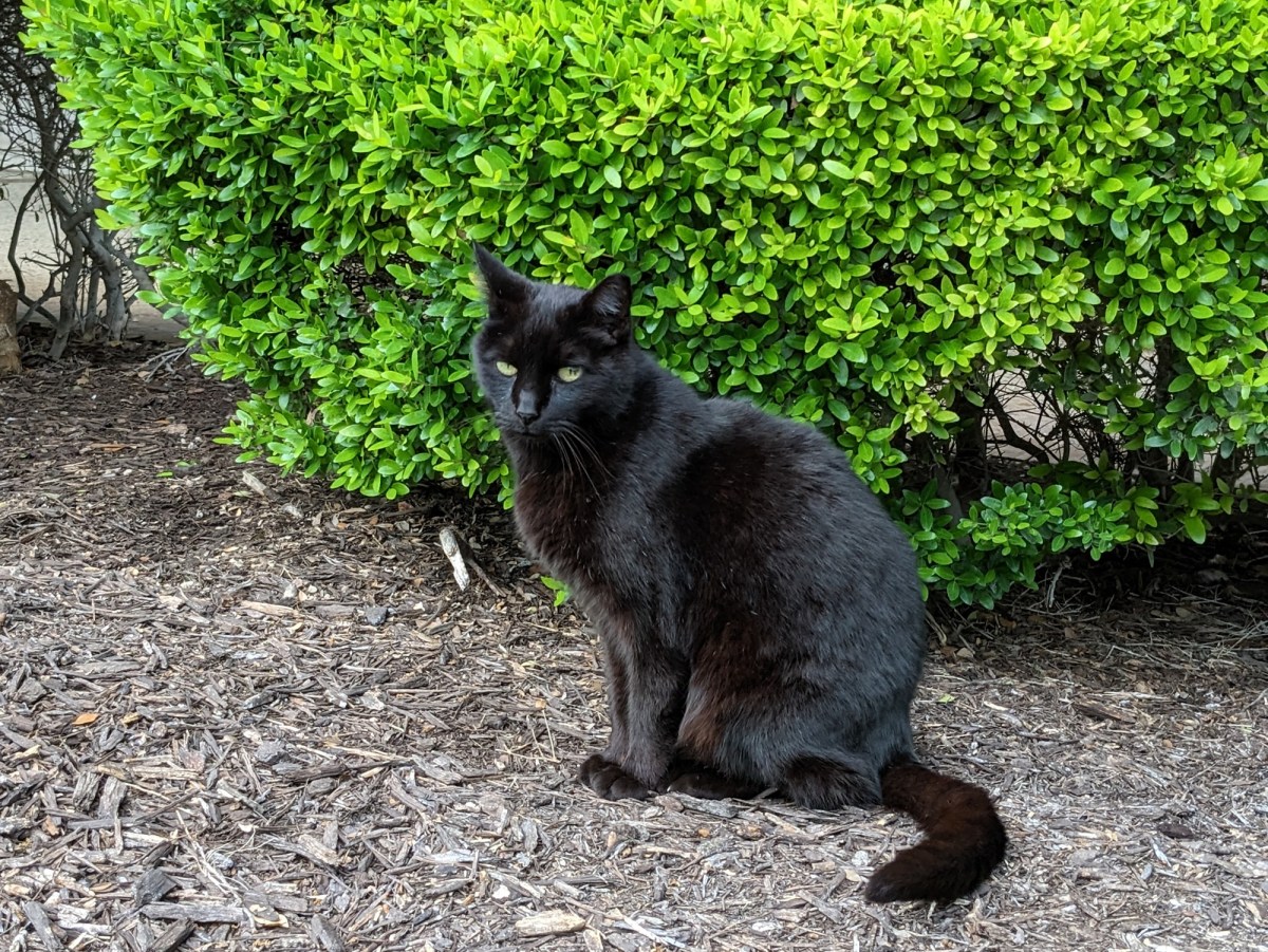 Lucifer, April 9, 2023