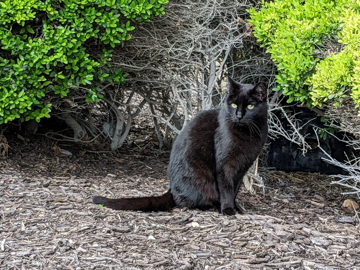 Lucifer, April 9, 2023