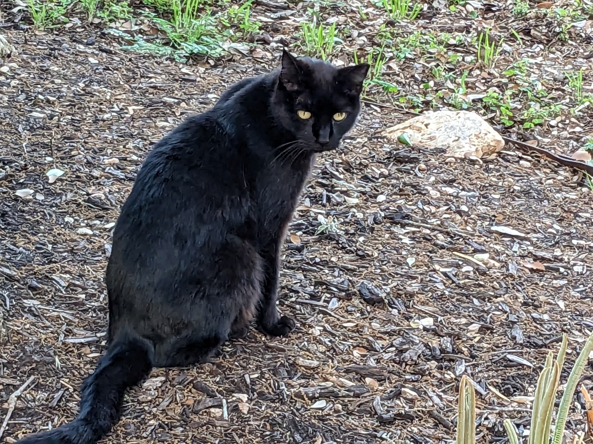 Lucifer, April 11, 2023