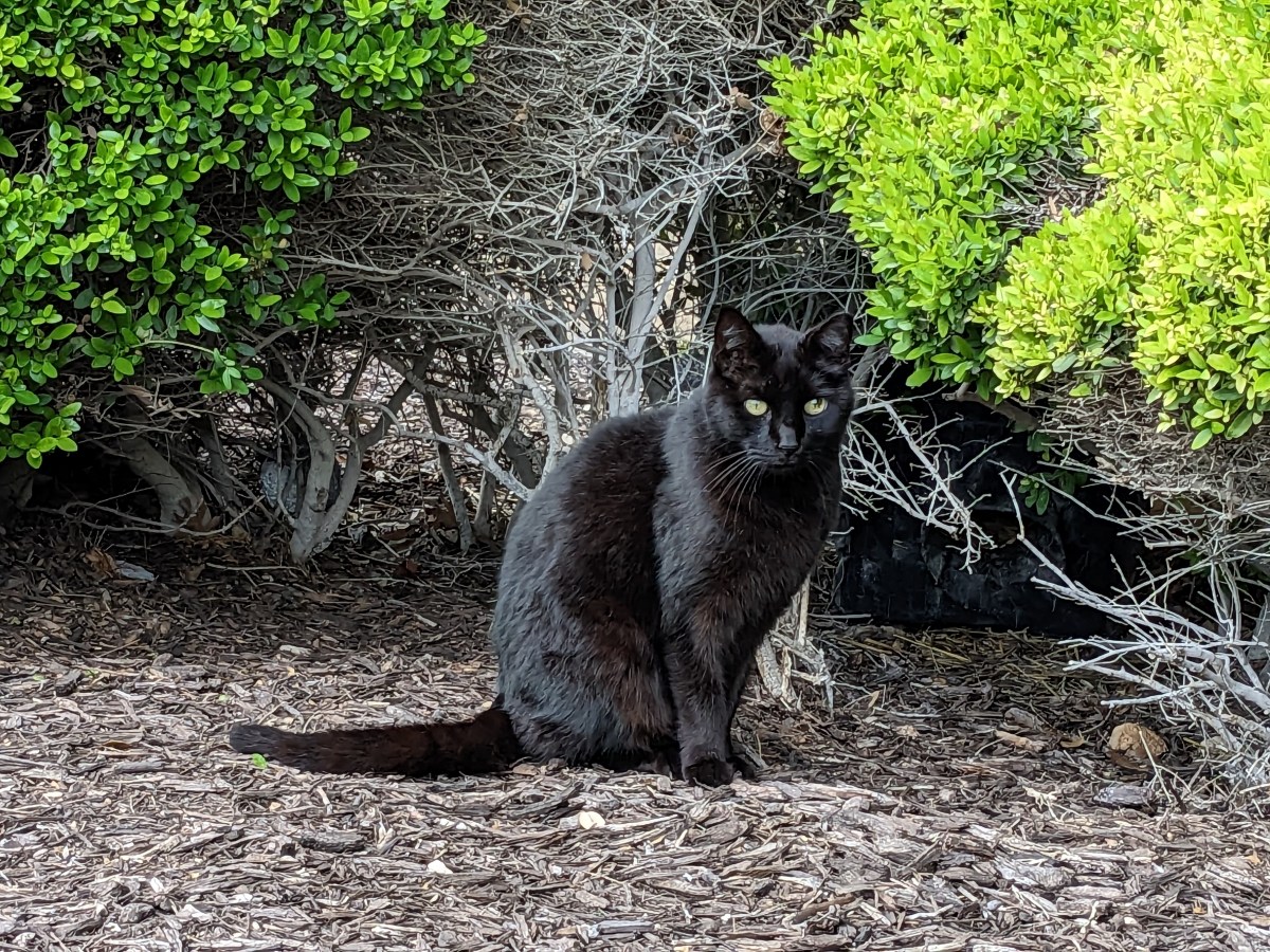 Lucifer, April 9, 2023