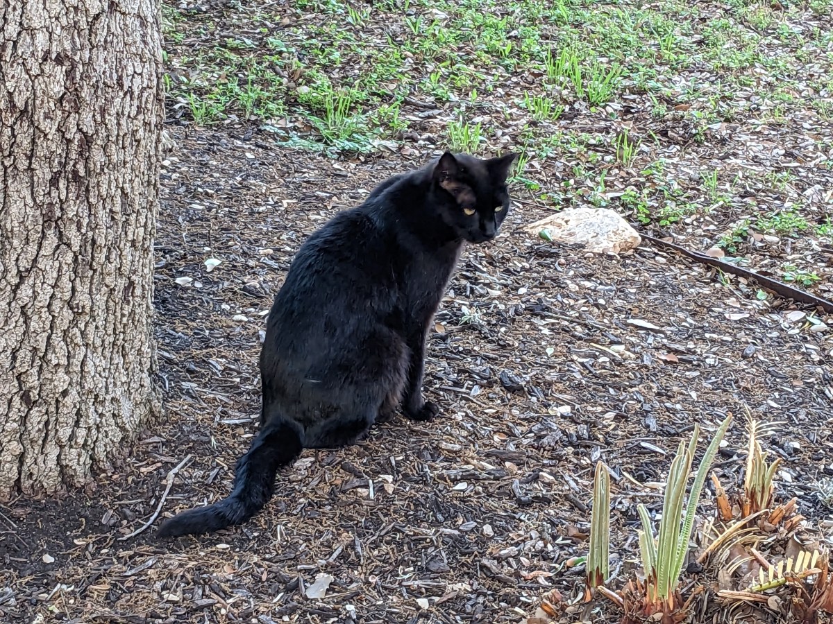 Lucifer, April 11, 2023