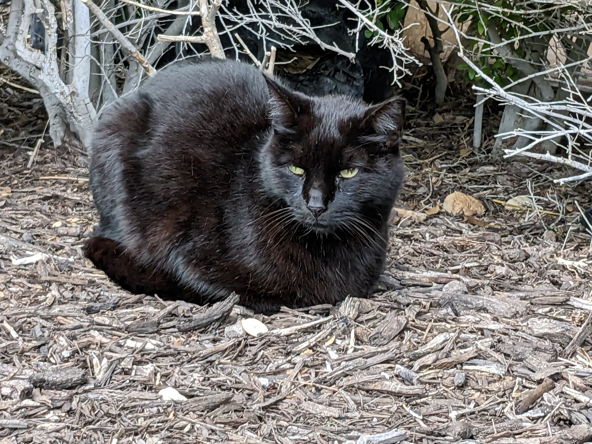 Lucifer, April 9, 2023