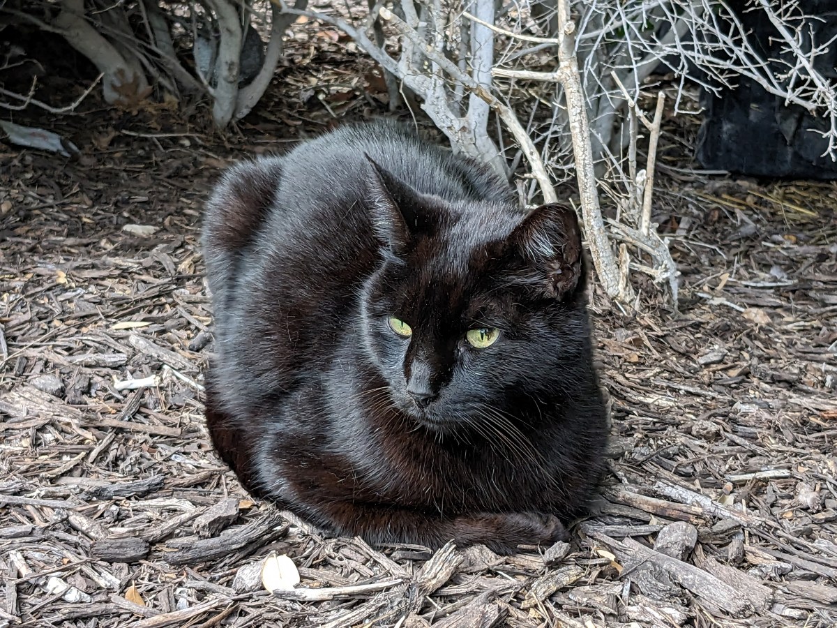 Lucifer, April 9, 2023