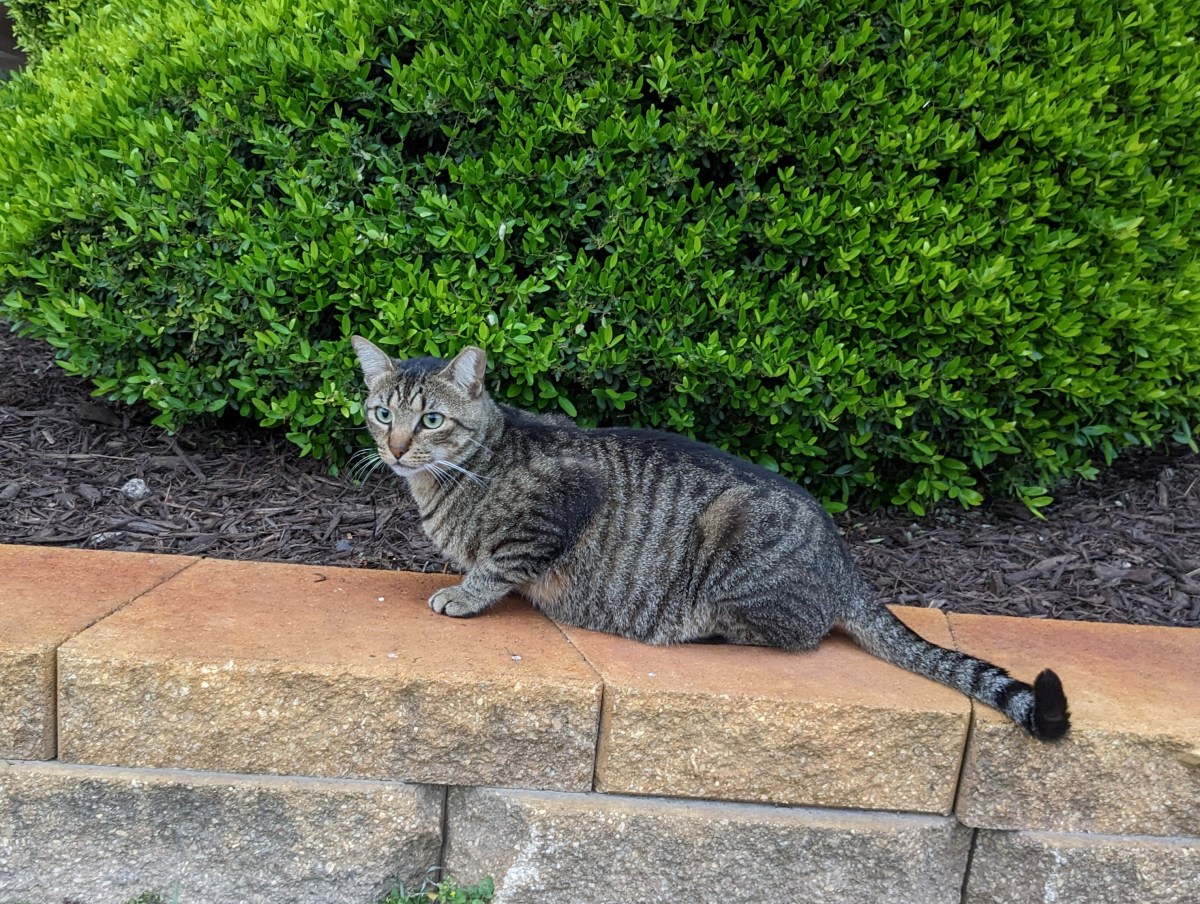 Troy, April 18, 2023