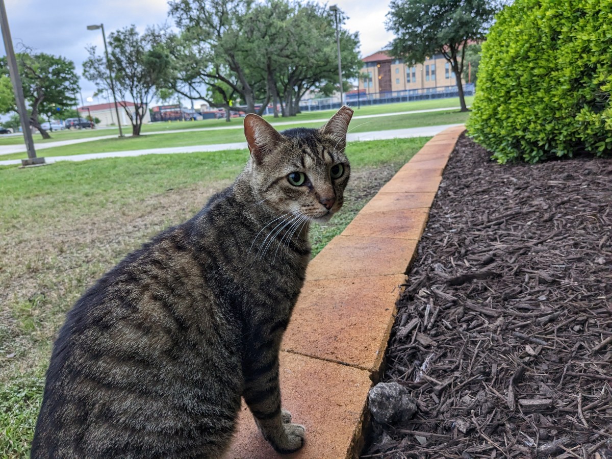 Troy, April 18, 2023