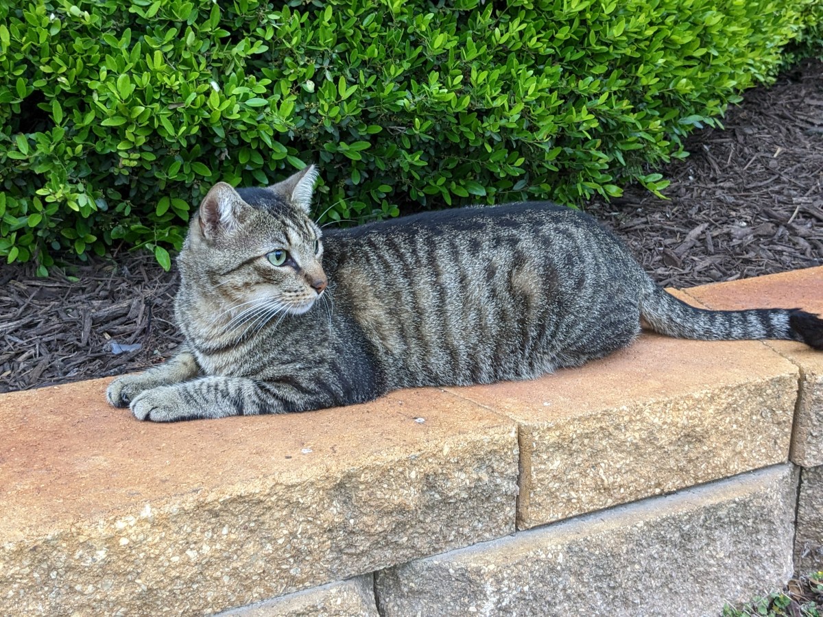 Troy, April 18, 2023