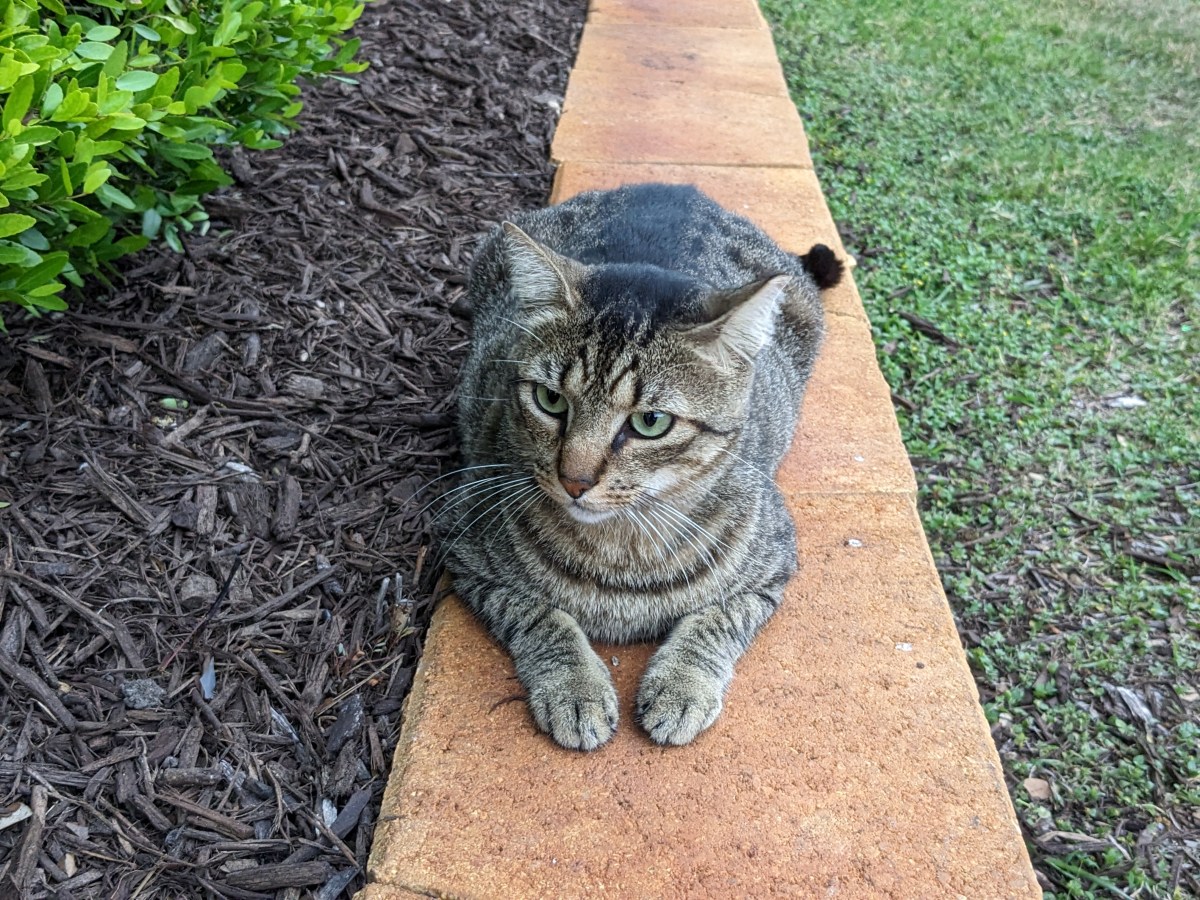 Troy, April 18, 2023