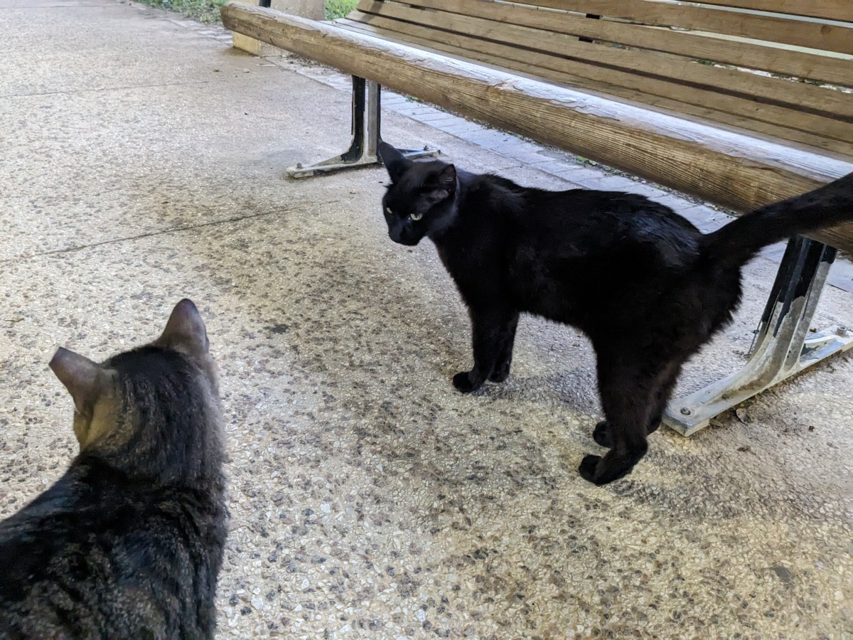 Lucifer & Troy, June 24, 2023