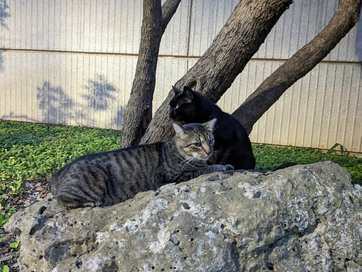 Lucifer & Troy, June 23, 2023