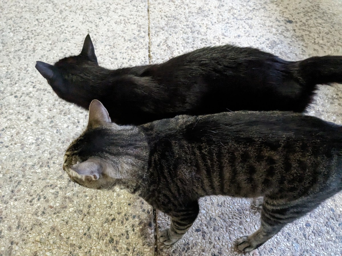 Lucifer & Troy, June 24, 2023