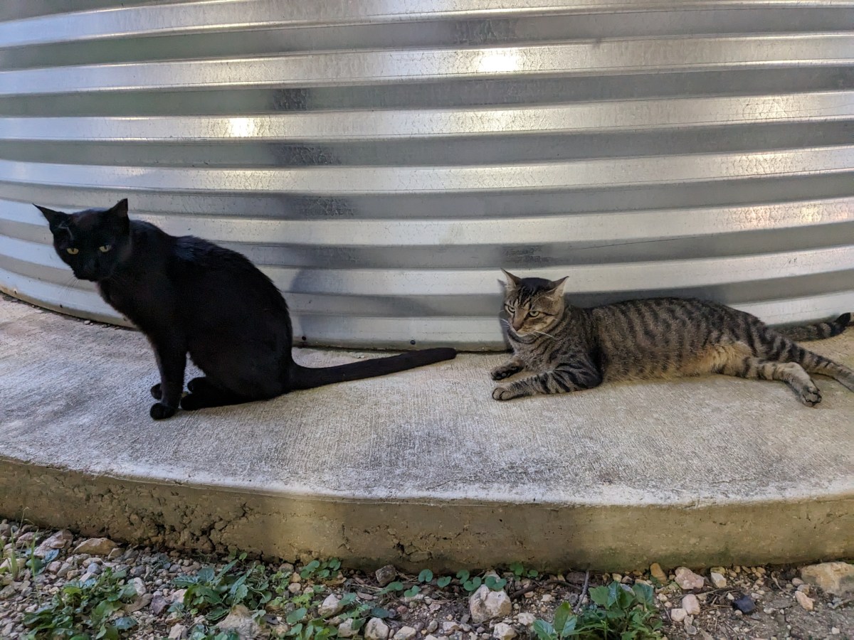 Lucifer & Troy, June 24, 2023