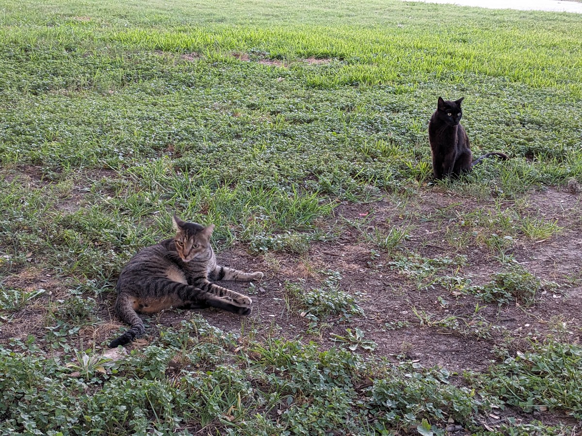 Lucifer & Troy, June 24, 2023