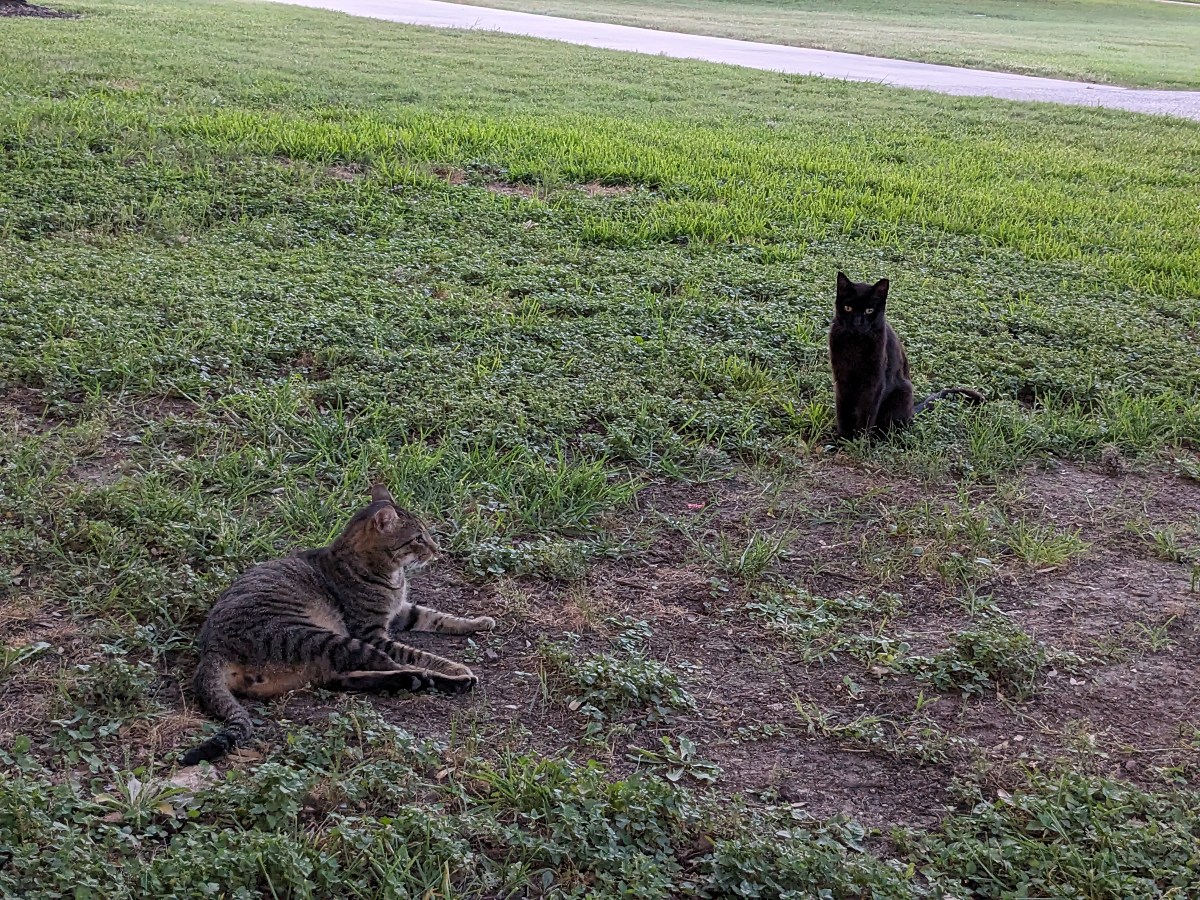 Lucifer & Troy, June 24, 2023