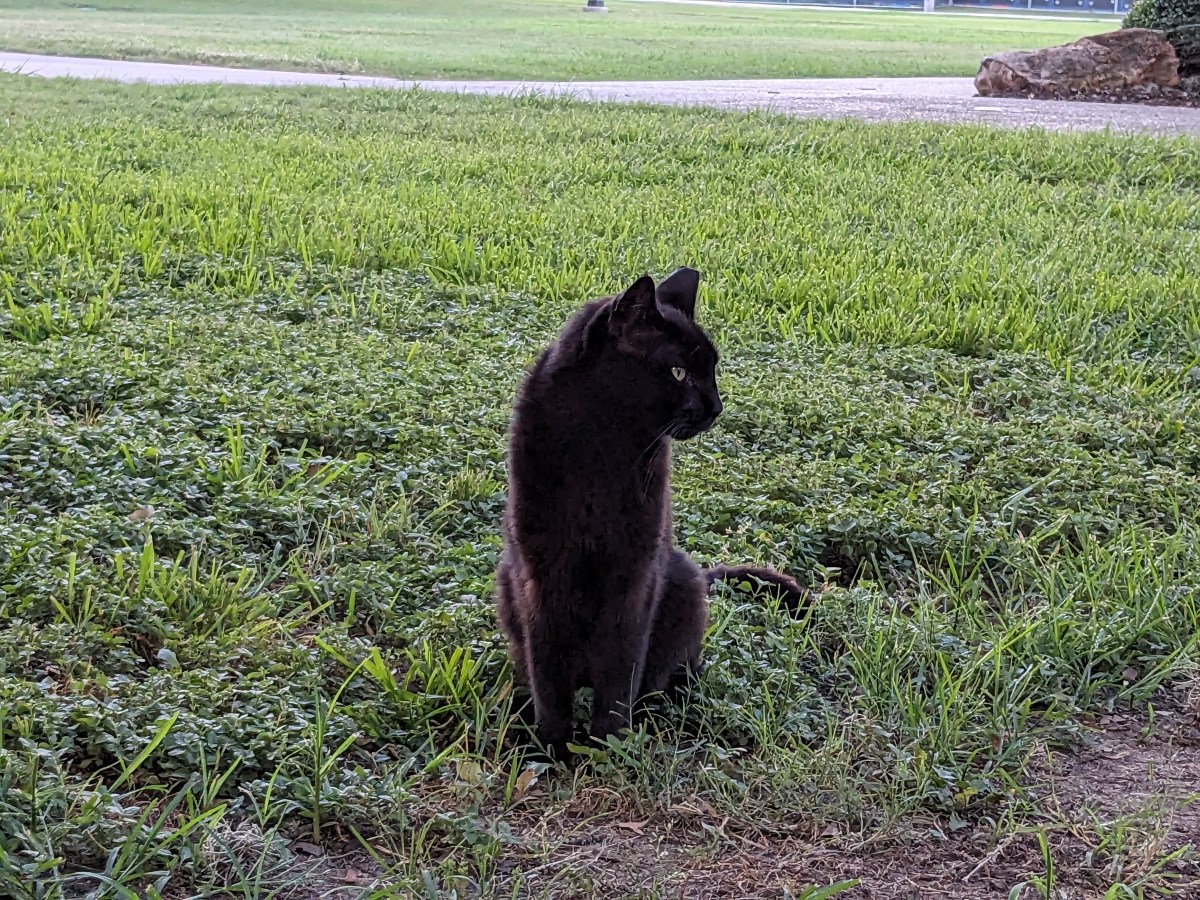 Lucifer, June 24, 2023