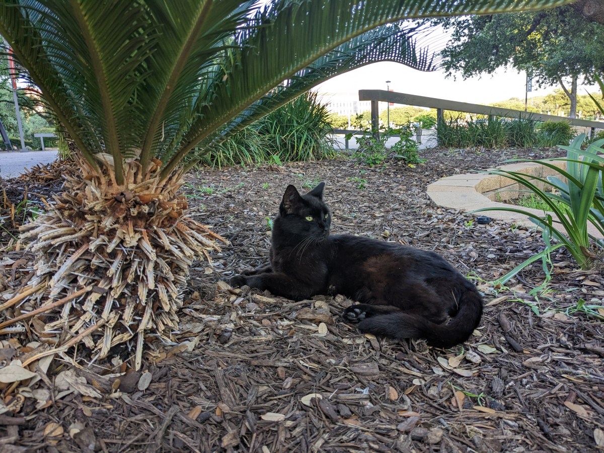 Lucifer, June 6, 2023