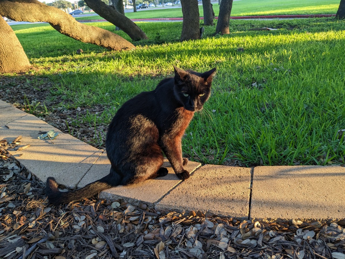 Lucifer, June 6, 2023