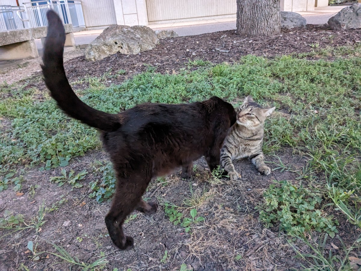 Lucifer & Troy, June 24, 2023