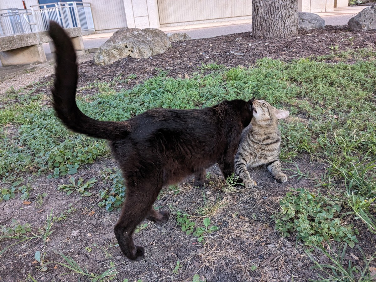 Lucifer & Troy, June 24, 2023