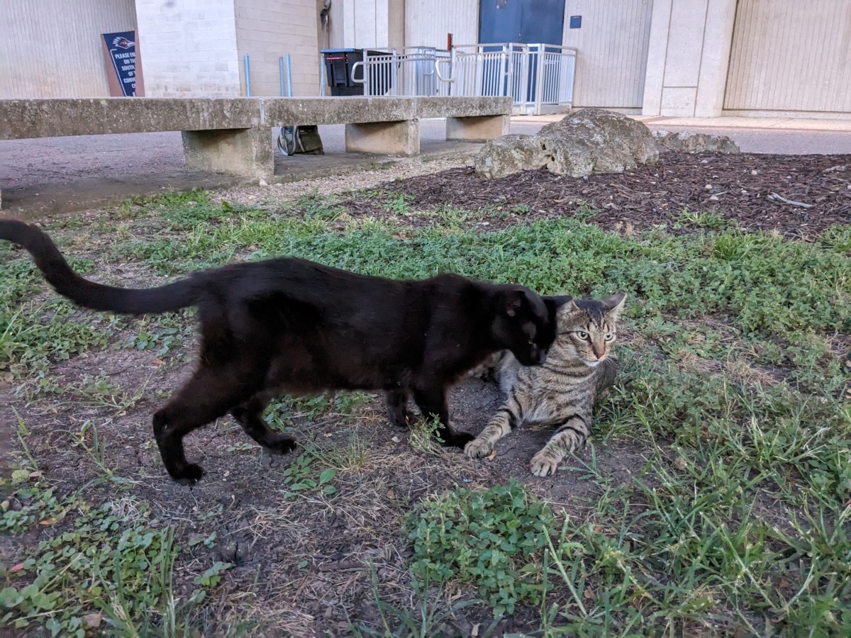 Lucifer & Troy, June 24, 2023