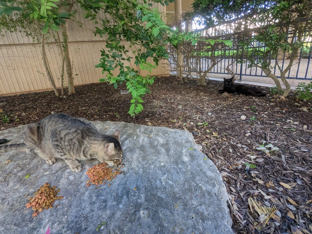 Troy & Lucifer, June 9, 2023