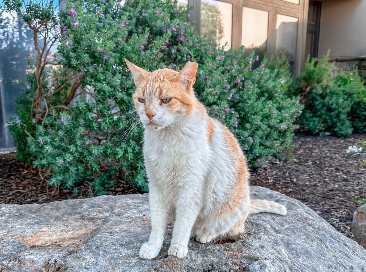 Harry on FB, June 7, 2023