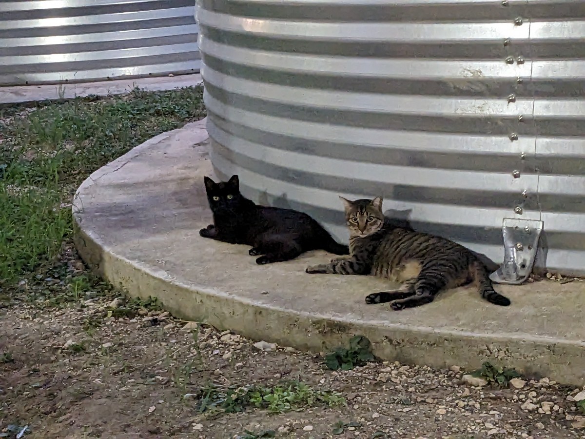 Lucifer & Troy, July 19, 2023