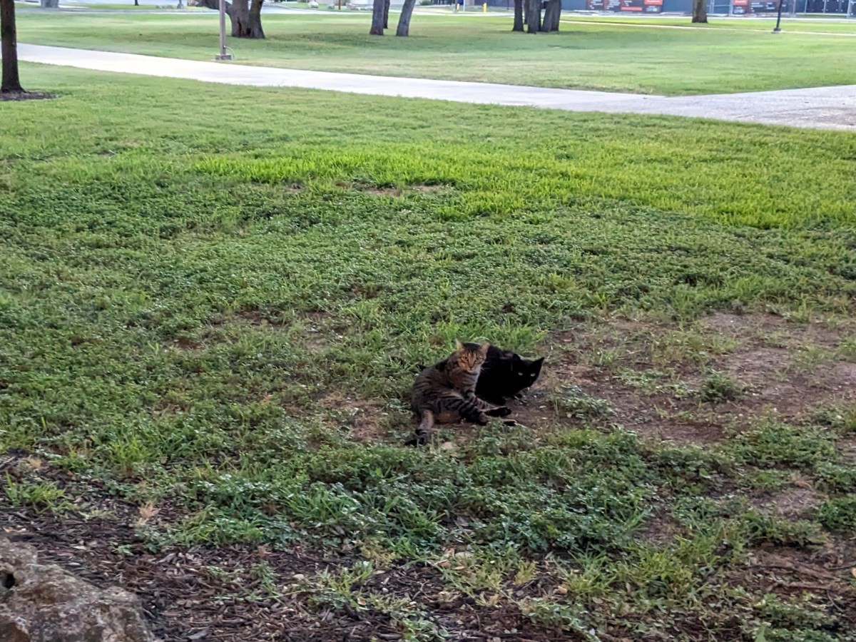 Lucifer & Troy, June 24, 2023