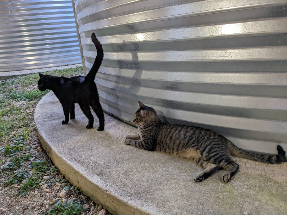 Lucifer & Troy, June 24, 2023