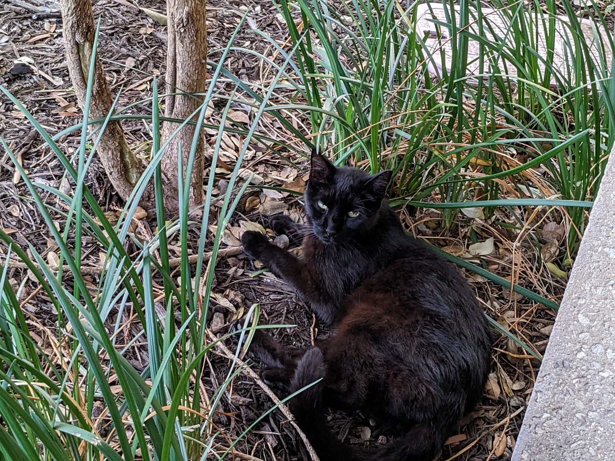 Lucifer, July 7, 2023