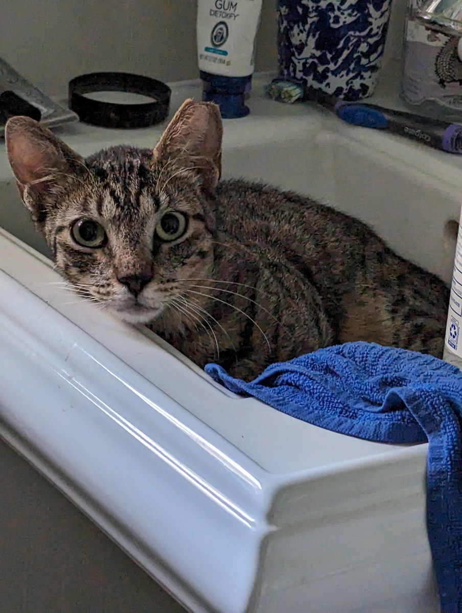 Mason recovering from his wounds, July 16, 2023