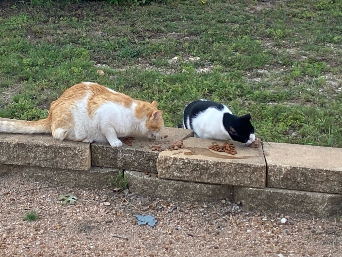 Harry & Nicky, May 27, 2023