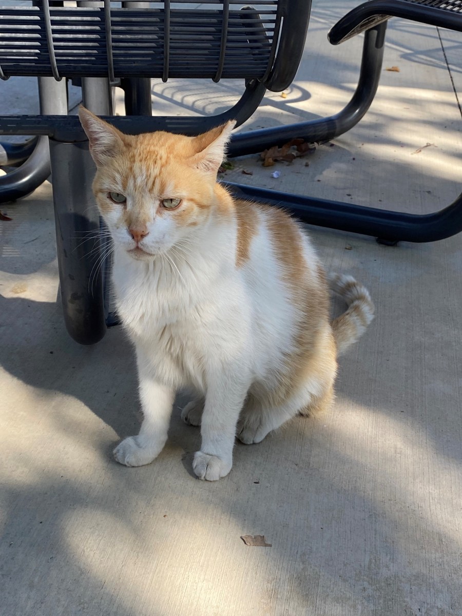 Harry, August 28, 2023