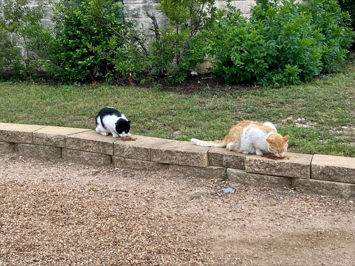 Harry & Nicky, May 5, 2023