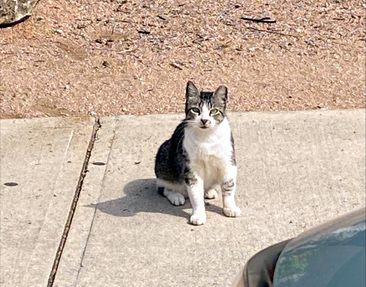 Hobbs, June 10, 2023