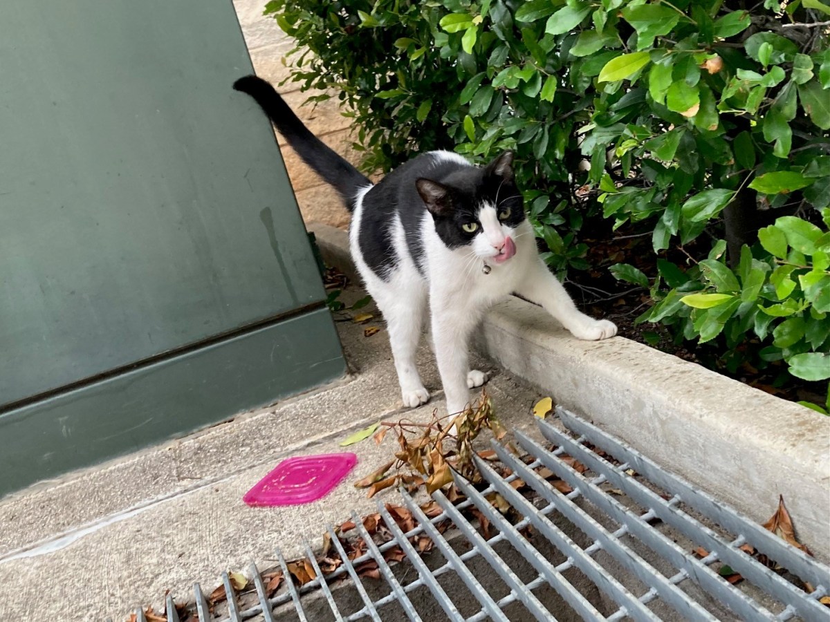 Nicky @ CV Building 10, May 15, 2023