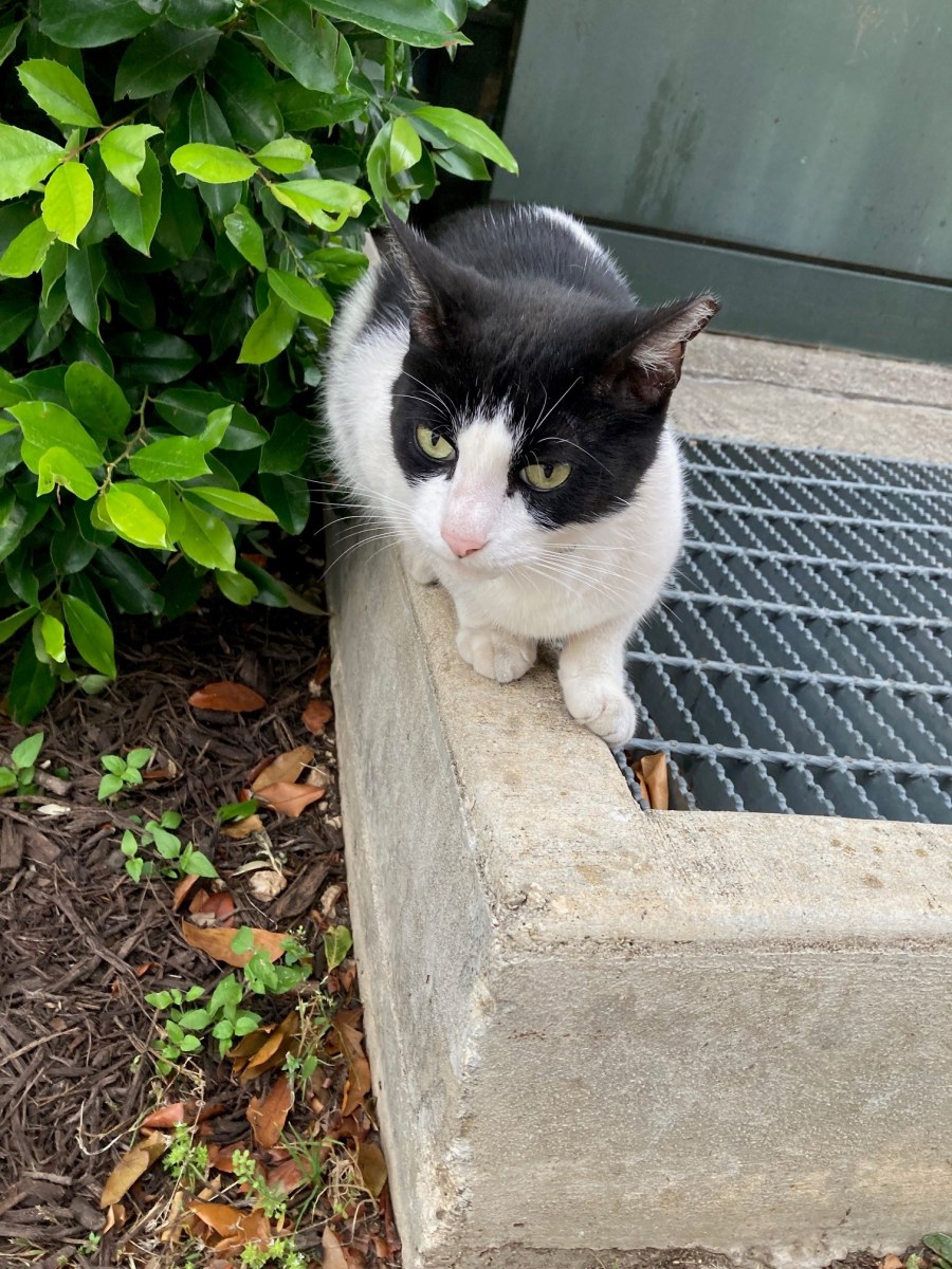 Nicky @ CV Building 10, May 15, 2023