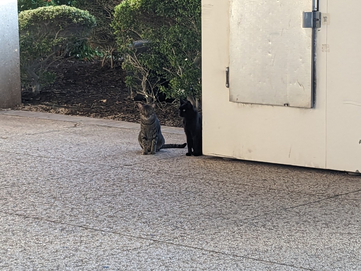 Lucifer & Troy, August 2 2023