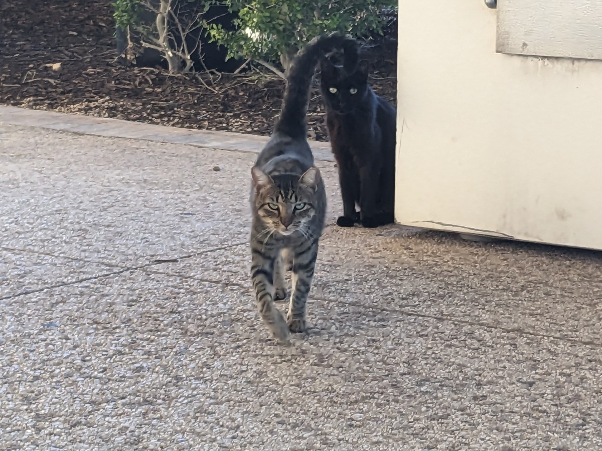 Lucifer & Troy, August 2 2023