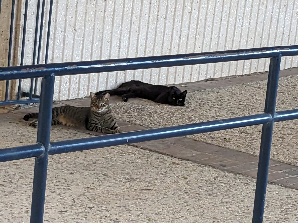 Lucifer & Troy, July 30, 2023