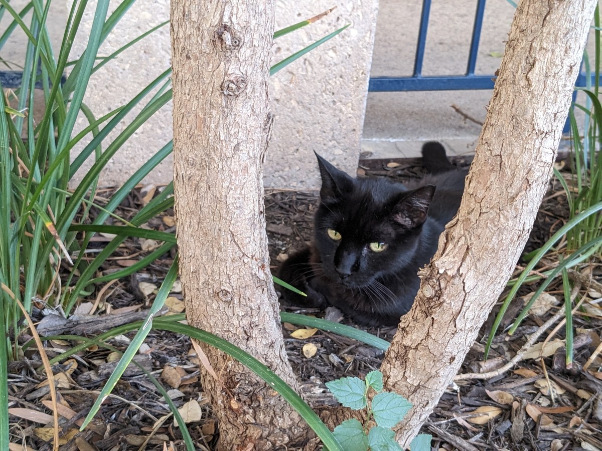 Lucifer, August 18, 2023