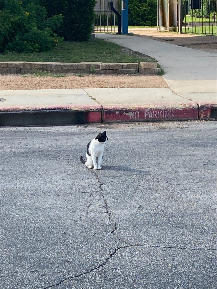 Nicky, June 11, 2023