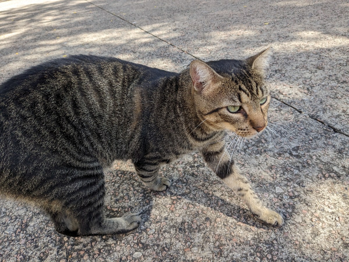 Troy, August 10, 2023