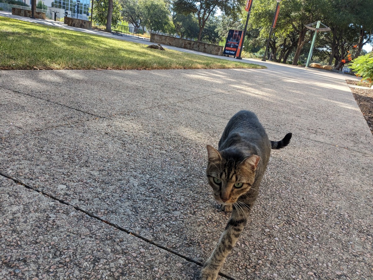 Troy, August 7, 2023